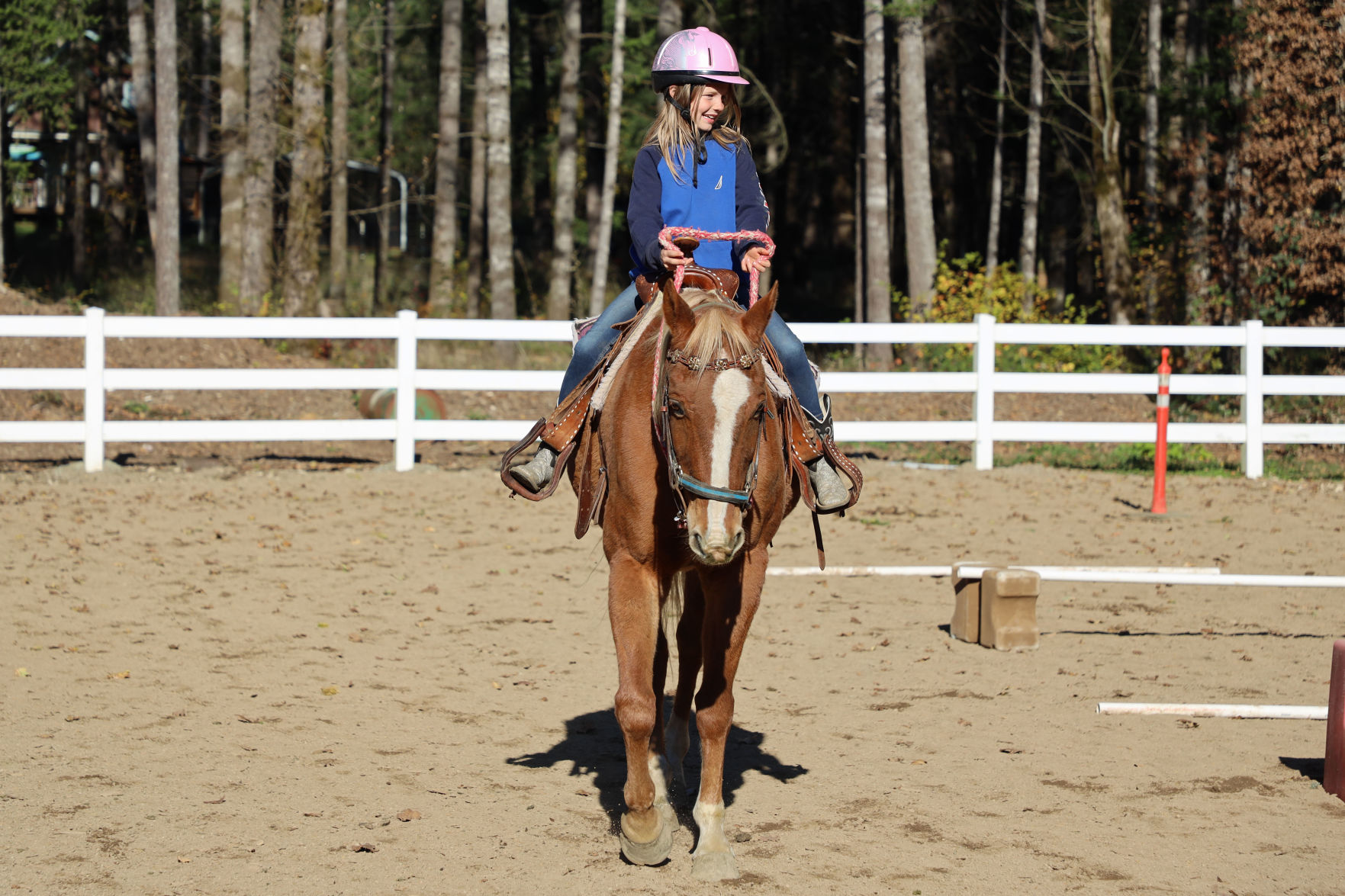 Grace Therapeutic Horse #2